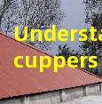 Understanding Scuppers and Overflows in Commercial Design